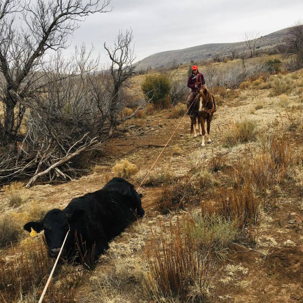 Meet your Posher, Devyn